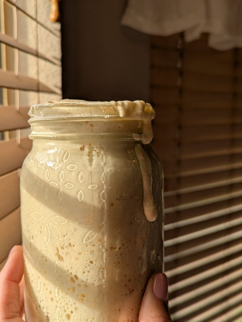 Sourdough Starter