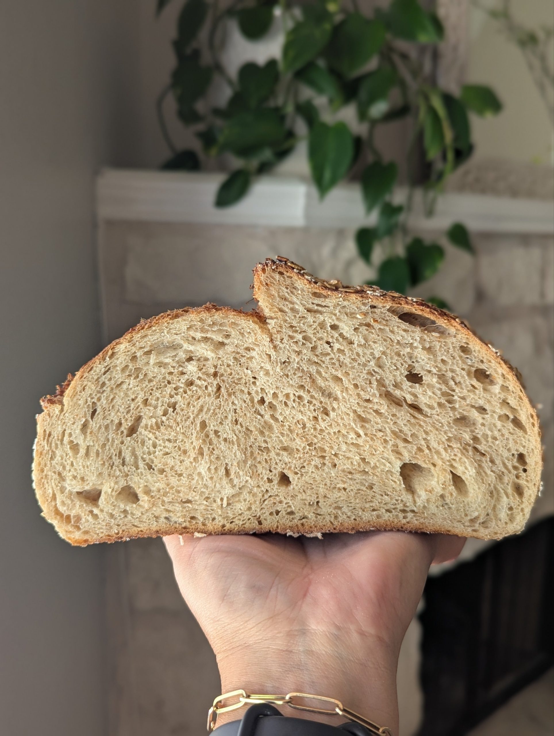 Honey Wheat